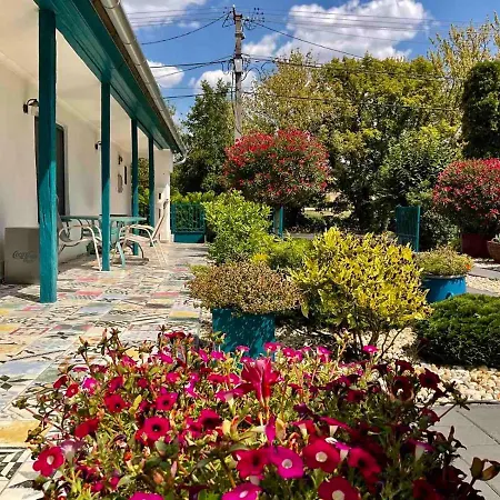 Voelgyhid Vintage Apartament