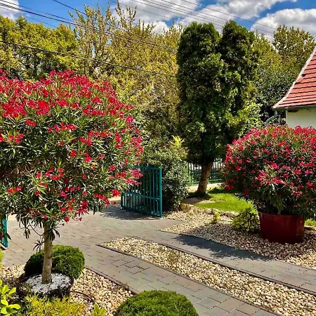 Voelgyhid Vintage Apartament *